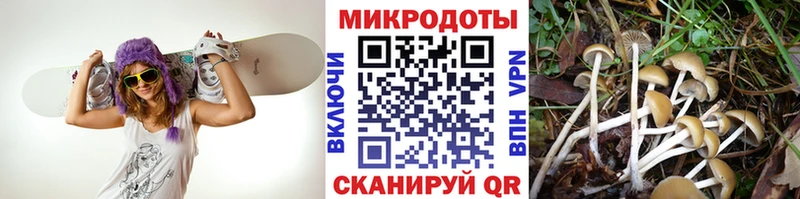 Галлюциногенные грибы MAGIC MUSHROOMS  маркетплейс как зайти  Чердынь 